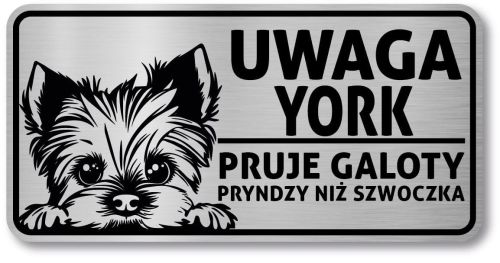 Tabliczka ostrzegawcza - Uwaga pies York po śląsku