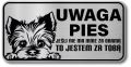 Tabliczka ostrzegawcza - Uwaga pies York