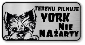 Tabliczka ostrzegawcza - Uwaga pies York śmieszna