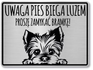 Tabliczka ostrzegawcza - Uwaga pies YORK
