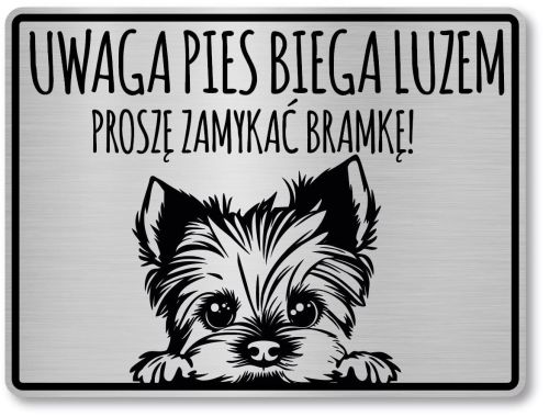 Tabliczka ostrzegawcza - Uwaga pies YORK