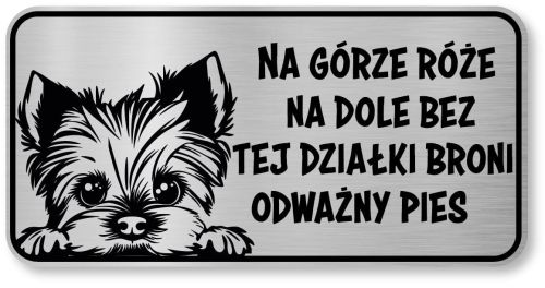 Tabliczka ostrzegawcza - Uwaga pies York śmieszna