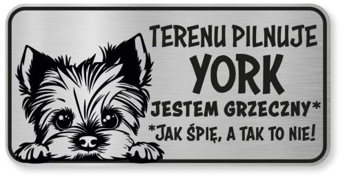 Tabliczka ostrzegawcza - Uwaga pies York śmieszna