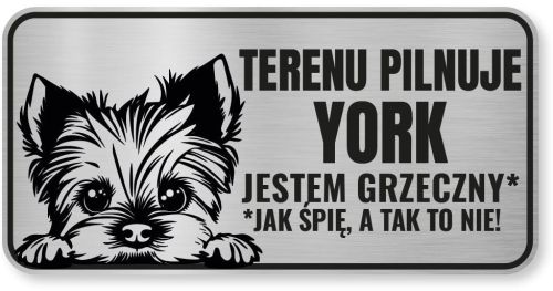Tabliczka ostrzegawcza - Uwaga pies York śmieszna