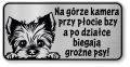 Tabliczka ostrzegawcza - Uwaga pies York śmieszna 2 psy