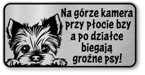 Tabliczka ostrzegawcza - Uwaga pies York śmieszna 2 psy