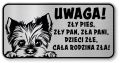 Tabliczka ostrzegawcza - Uwaga pies York śmieszna