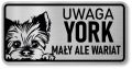 Tabliczka ostrzegawcza - Uwaga pies York śmieszna