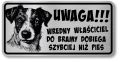 Tabliczka ostrzegawcza - Uwaga pies Jack Russell śmieszna