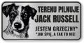 Tabliczka ostrzegawcza - Uwaga pies Jack Russell śmieszna