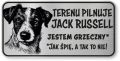 Tabliczka ostrzegawcza - Uwaga pies Jack Russell śmieszna