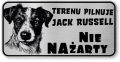 Tabliczka ostrzegawcza - Uwaga pies Jack Russell śmieszna