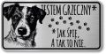 Tabliczka ostrzegawcza - Uwaga pies Jack Russell śmieszna