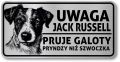 Tabliczka ostrzegawcza - Uwaga pies Jack Russell po śląsku