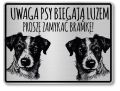 Tabliczka ostrzegawcza - Uwaga pies Jack Russell 2 psy