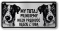 Tabliczka ostrzegawcza - Uwaga pies Jack Russell