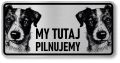 Tabliczka ostrzegawcza - Uwaga pies Jack Russell