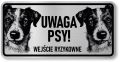 Tabliczka ostrzegawcza - Uwaga pies Jack Russell 2 psy
