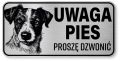 Tabliczka ostrzegawcza - Uwaga pies Jack Russell