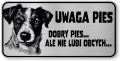 Tabliczka ostrzegawcza - Uwaga pies Jack Russell