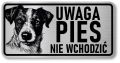 Tabliczka ostrzegawcza - Uwaga pies Jack Russell