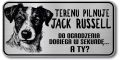 Tabliczka ostrzegawcza - Uwaga pies Jack Russell