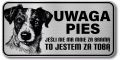 Tabliczka ostrzegawcza - Uwaga pies Jack Russell