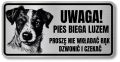 Tabliczka ostrzegawcza - Uwaga pies Jack Russell