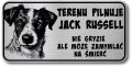 Tabliczka ostrzegawcza - Uwaga pies Jack Russell