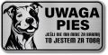 Tabliczka ostrzegawcza - Uwaga pies Pitbull