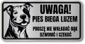Tabliczka ostrzegawcza - Uwaga pies Pitbull