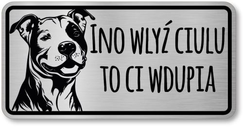 Tabliczka ostrzegawcza - Uwaga pies PITBULL po śląsku