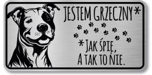 Tabliczka ostrzegawcza - Uwaga pies PITBULL śmieszna