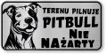 Tabliczka ostrzegawcza - Uwaga pies PITBULL śmieszna