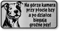 Tabliczka ostrzegawcza - Uwaga pies PITBULL śmieszna
