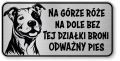 Tabliczka ostrzegawcza - Uwaga pies PITBULL śmieszna