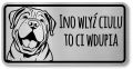 Tabliczka ostrzegawcza - Uwaga pies SHAR PEI po śląsku