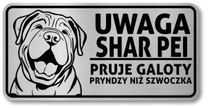 Tabliczka ostrzegawcza - Uwaga pies SHAR PEI po śląsku