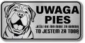 Tabliczka ostrzegawcza - Uwaga pies SHAR PEI