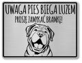 Tabliczka ostrzegawcza - Uwaga pies SHAR PEI