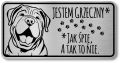 Tabliczka ostrzegawcza - Uwaga pies Shar Pei śmieszna