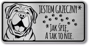 Tabliczka ostrzegawcza - Uwaga pies Shar Pei śmieszna