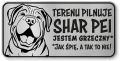 Tabliczka ostrzegawcza - Uwaga pies Shar Pei śmieszna