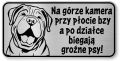 Tabliczka ostrzegawcza - Uwaga pies Shar Pei śmieszna