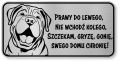 Tabliczka ostrzegawcza - Uwaga pies SHAR PEI śmieszna