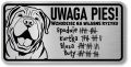 Tabliczka ostrzegawcza - Uwaga pies SHAR PEI śmieszna