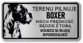 Tabliczka ostrzegawcza - Uwaga pies Boxer