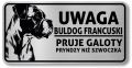 Tabliczka ostrzegawcza - Uwaga pies Boxer po śląsku