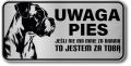 Tabliczka ostrzegawcza - Uwaga pies Boxer
