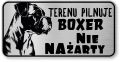 Tabliczka ostrzegawcza - Uwaga pies BOXER śmieszna